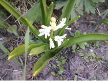 ����-0083.jpg