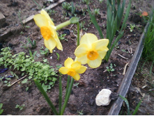 ����-0084.jpg
