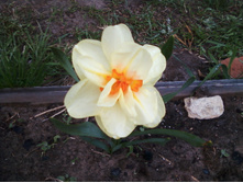 ����-0085.jpg