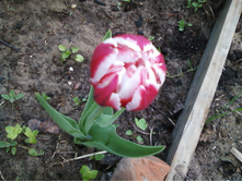 ����-0086.jpg