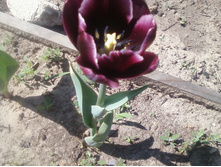 ����-0087.jpg