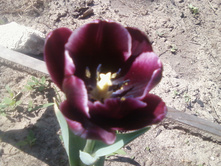 ����-0088.jpg
