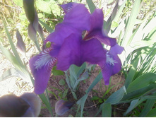 ����-0089.jpg