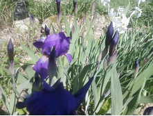 ����-0090.jpg