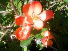 ����-0091.jpg