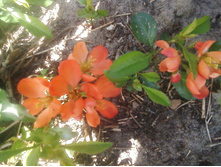 ����-0092.jpg