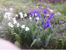 ����-0093.jpg