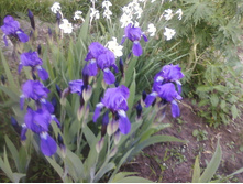 ����-0094.jpg