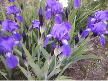 ����-0095.jpg