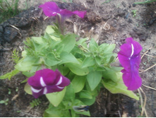 ����-0097.jpg