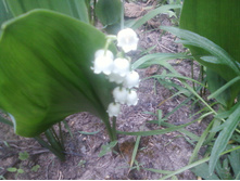 ����-0100.jpg