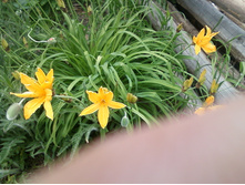 ����-0103.jpg