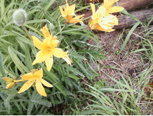 ����-0109.jpg