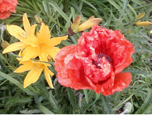 ����-0110.jpg