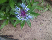 ����-0113.jpg