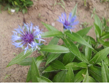 ����-0114.jpg