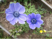 ����-0115.jpg