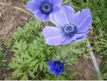 ����-0117.jpg