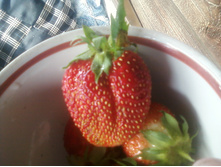 ����-0122.jpg
