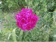 ����-0123.jpg