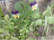 ����-0124.jpg