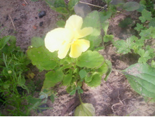 ����-0125.jpg