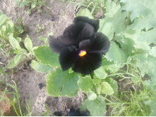 ����-0126.jpg