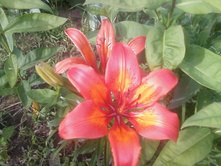 ����-0127.jpg