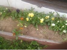 ����-0134.jpg