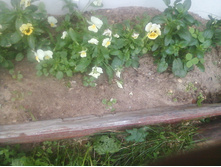 ����-0135.jpg