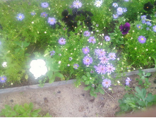 ����-0136.jpg