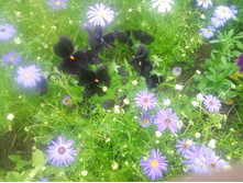 ����-0137.jpg