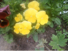 ����-0139.jpg