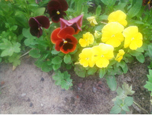 ����-0141.jpg