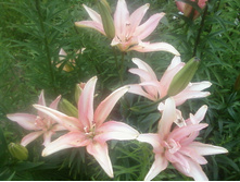 ����-0144.jpg