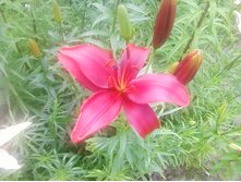 ����-0145.jpg