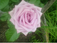 ����-0146.jpg