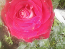 ����-0147.jpg