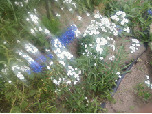 ����-0149.jpg