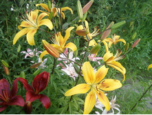 ����-0154.jpg
