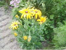 ����-0155.jpg