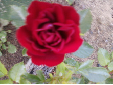 ����-0160.jpg