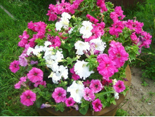 ����-0165.jpg