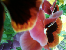 ����-0170.jpg