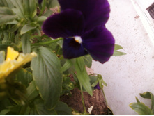 ����-0175.jpg
