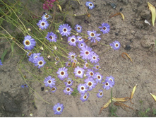 ����-0010.jpg