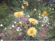 ����-0011.jpg