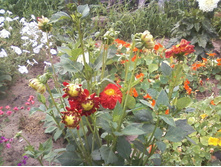 ����-0012.jpg