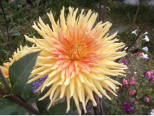 ����-0020.jpg