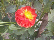 ����-0021.jpg